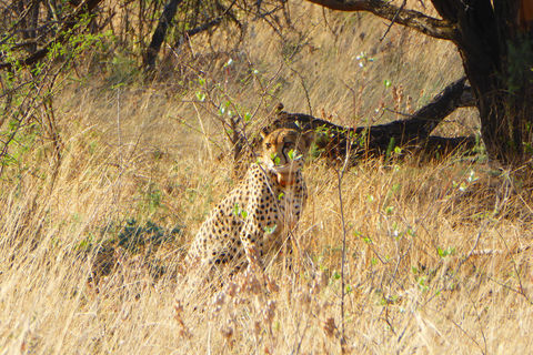 Dinokeng Game Reserve © INTERKULTUR