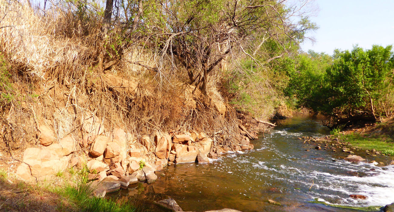 Dinokeng Game Reserve © INTERKULTUR