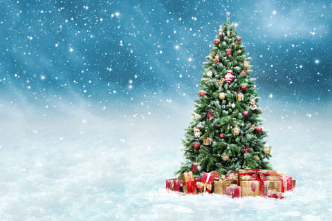 © Fotolia