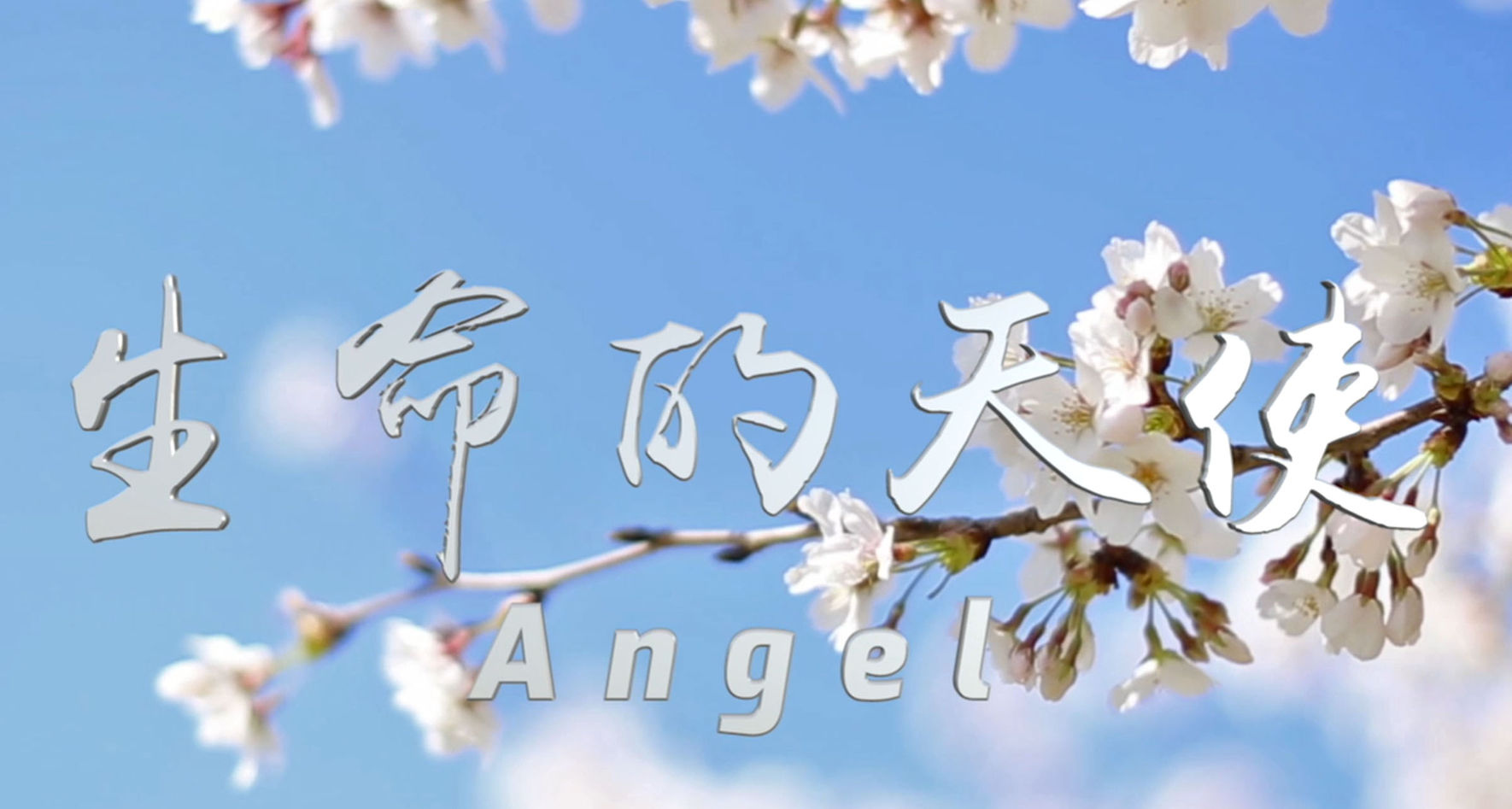 Video Screenshot 