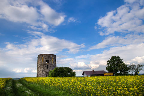 Beautiful Landscape