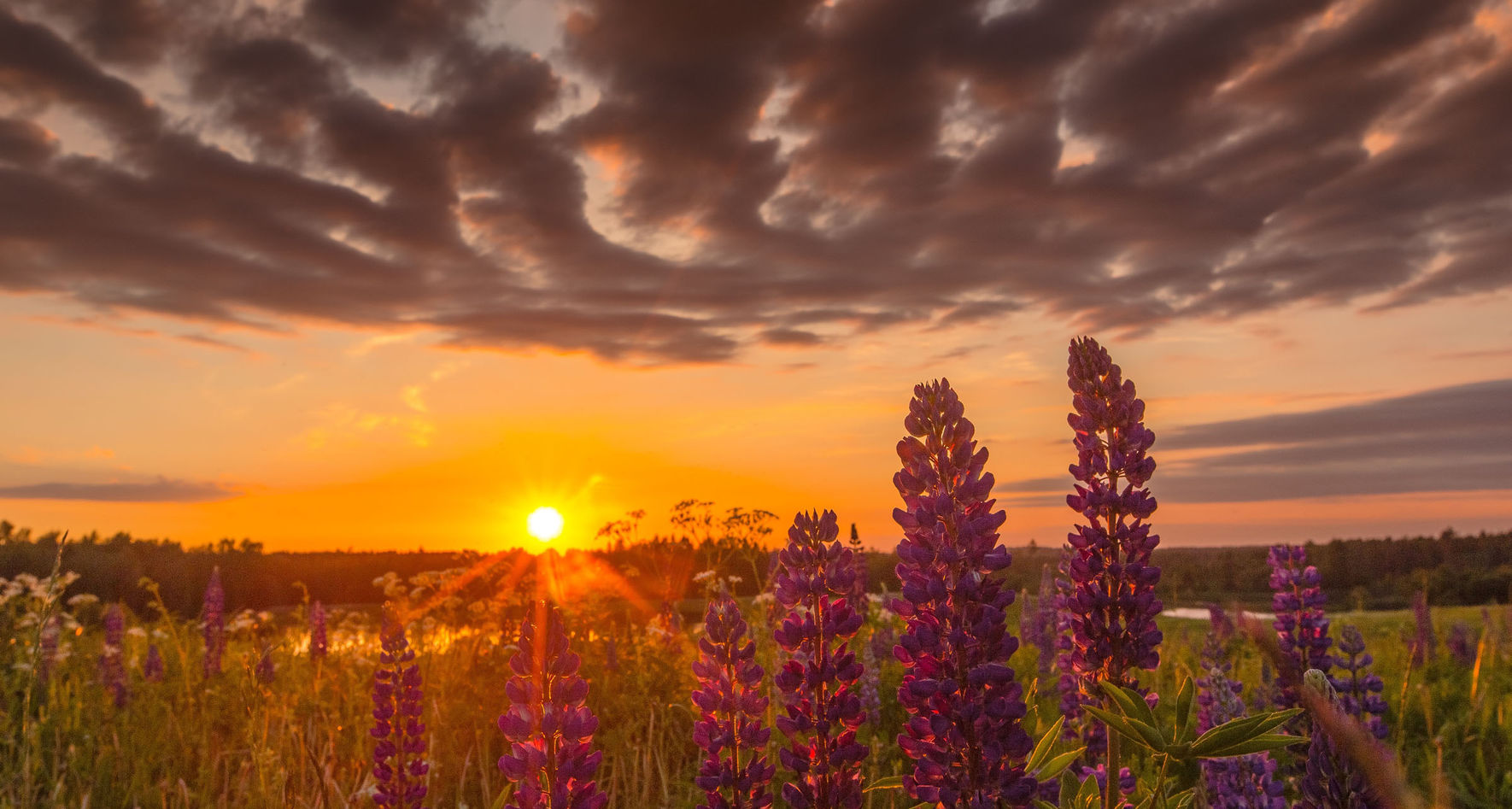 Latvian Sunrise © Kaspars Daleckis