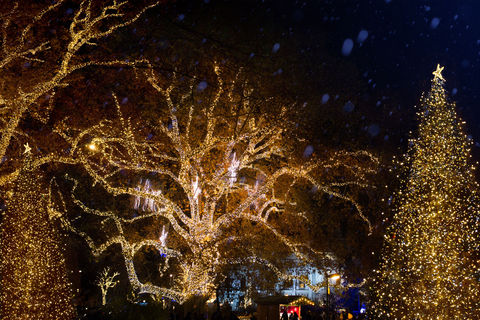 Christmas Lightning © Adobe Stock
