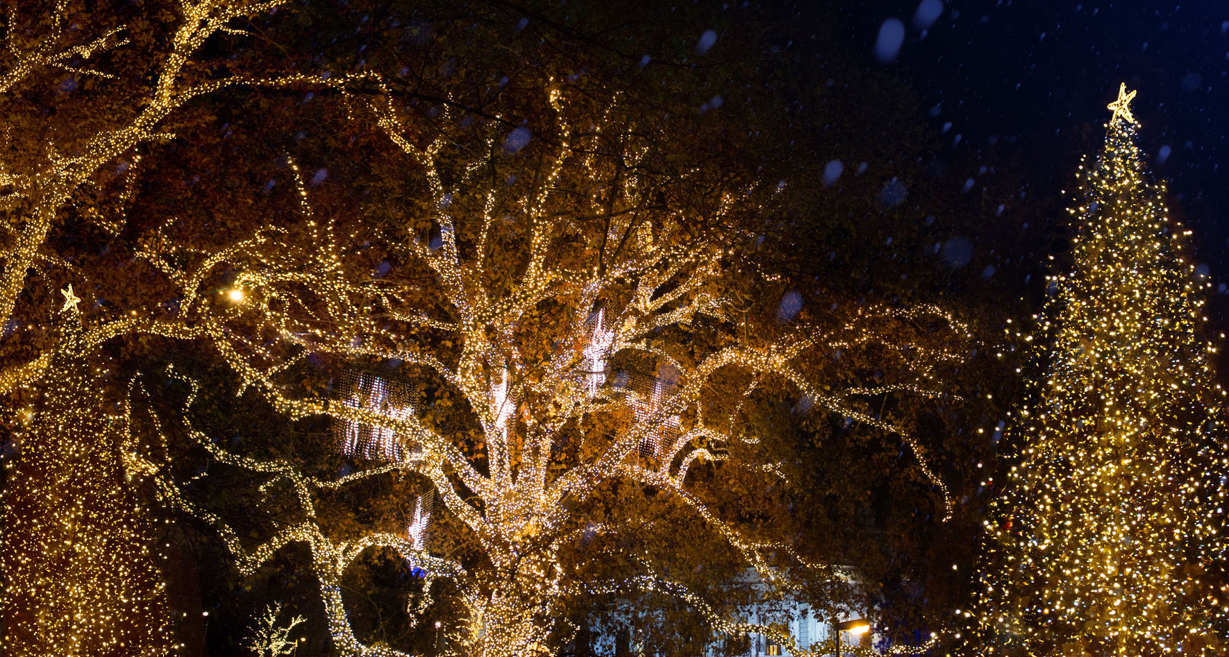 Christmas Lightning © Adobe Stock