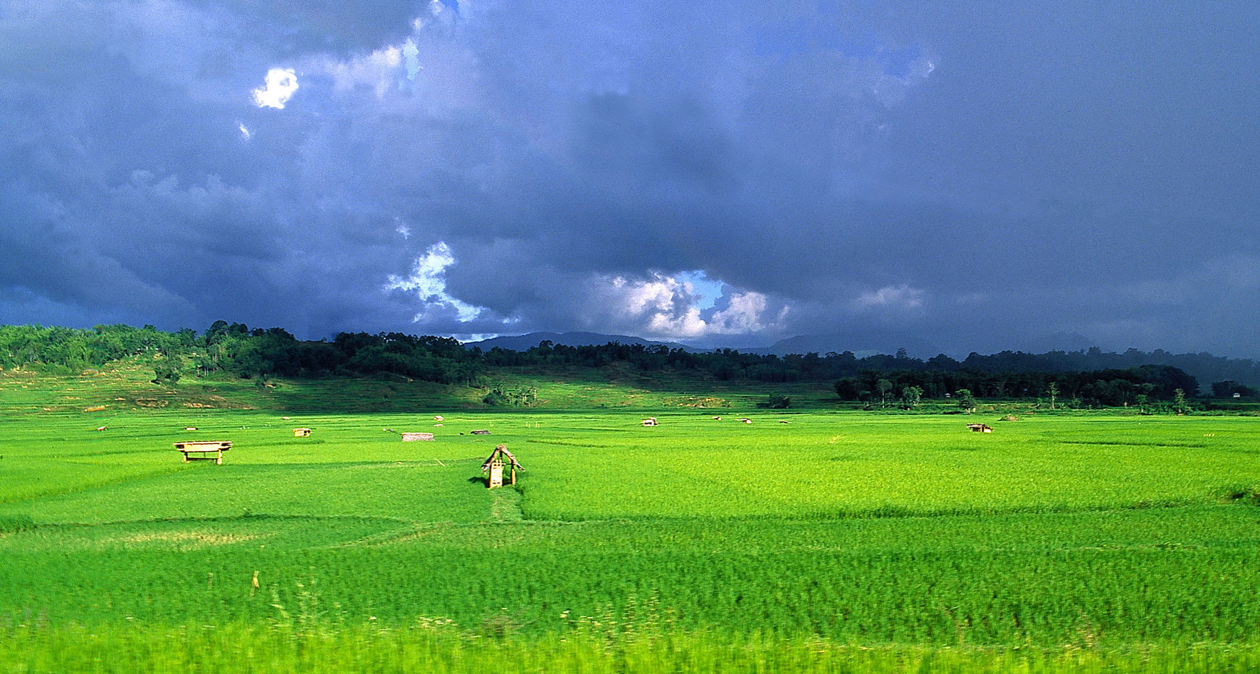 © City of Jakarta
