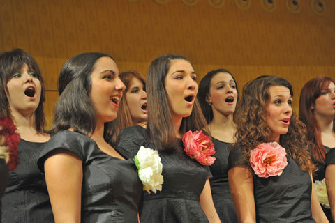 Choir sings in Vienna