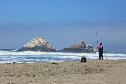 Sandy coast © INTERKULTUR