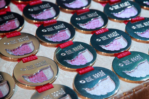 Medals WCG 2016 © Studi43