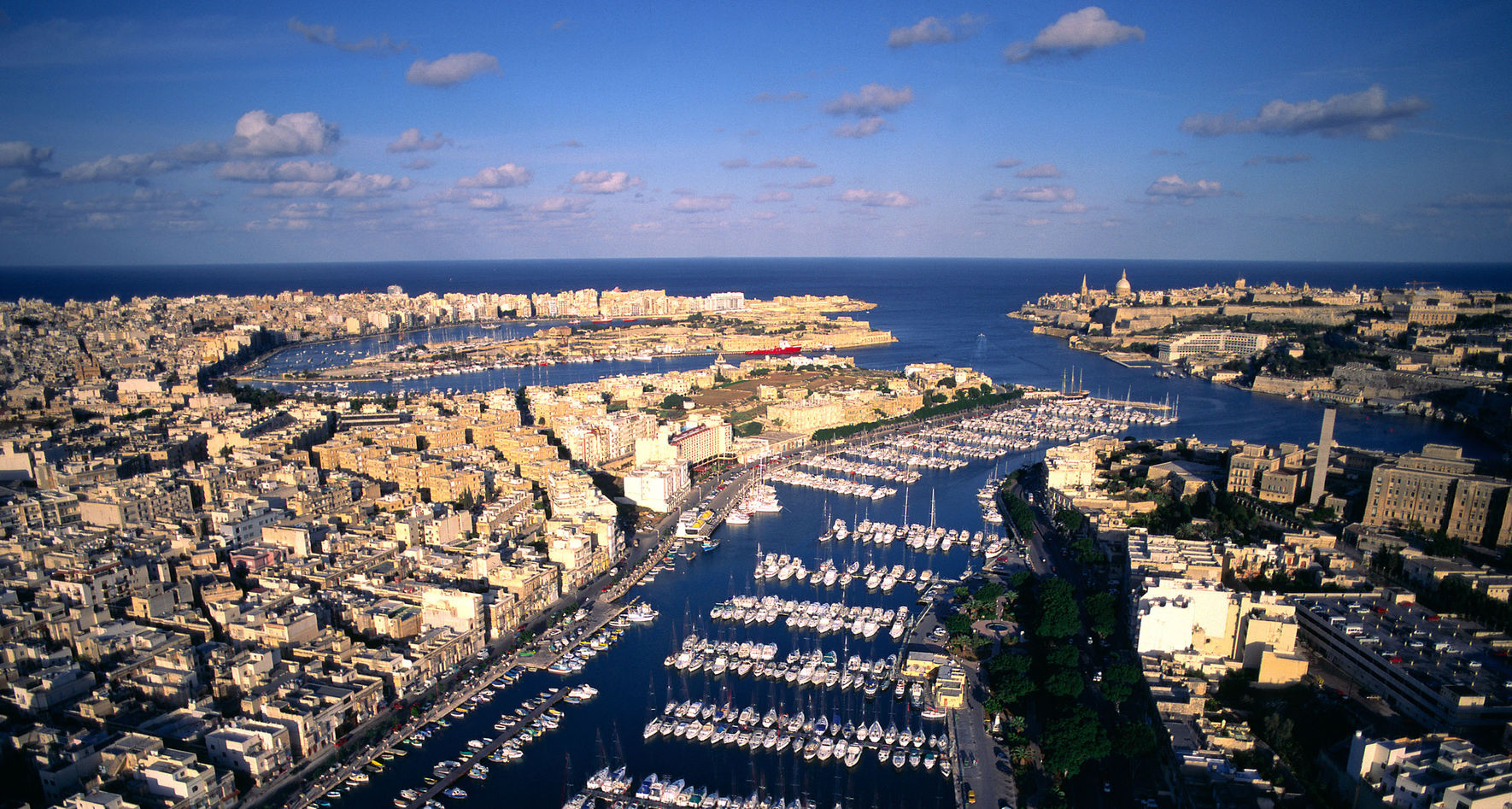 © FVA Malta